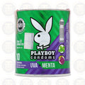 PLAYBOY CONDOMS UVA/MENTA, LATA CON 10 CONDONES