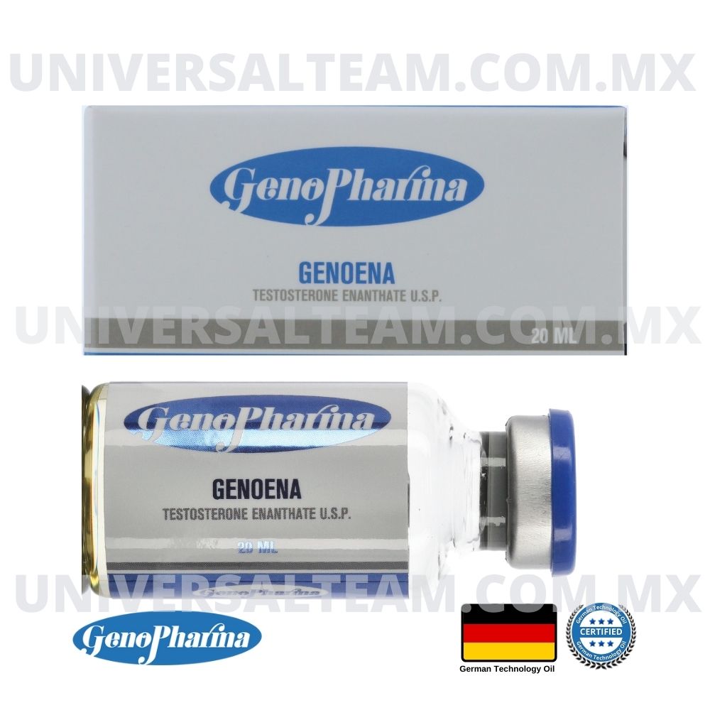 Genoena 300 (Enantato de Testosterona) 20ML GenoPharma